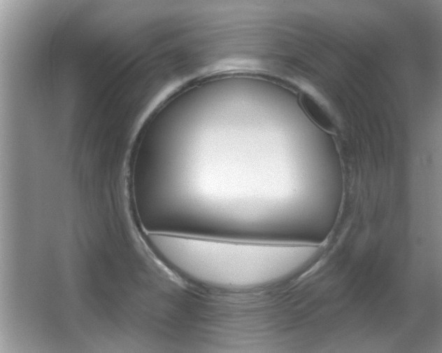 X0000067371325200603310944