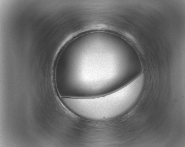 X0000067371326200603310944