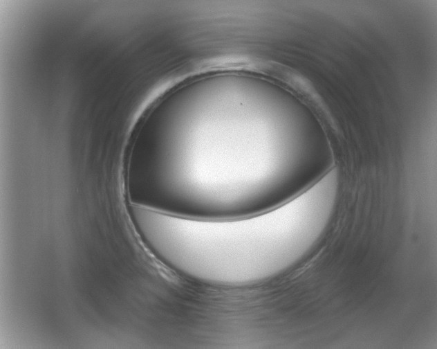 X0000067371328200603310944