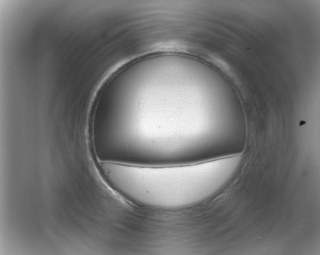 X0000067371331200603310944