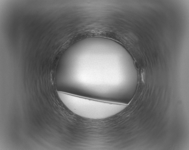 X0000067371347200603310944
