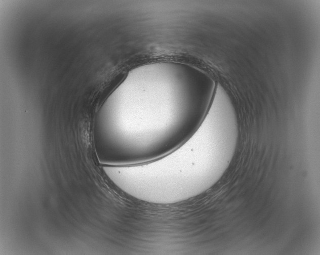 X0000067371348200603310944