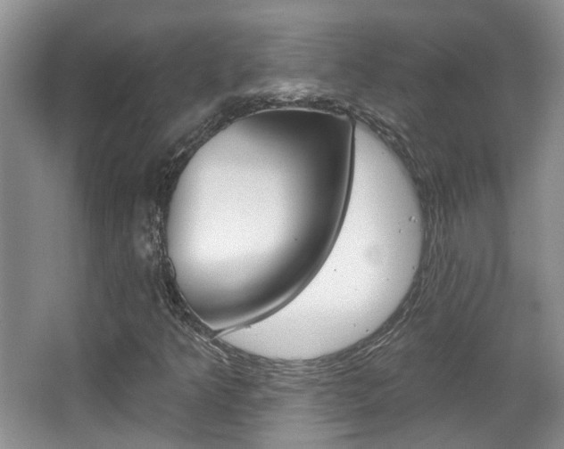 X0000067371349200603310944