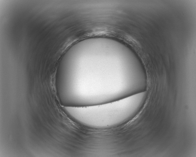 X0000067371353200603310944