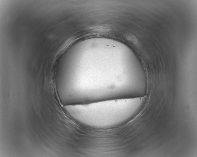 X0000067371354200603310944