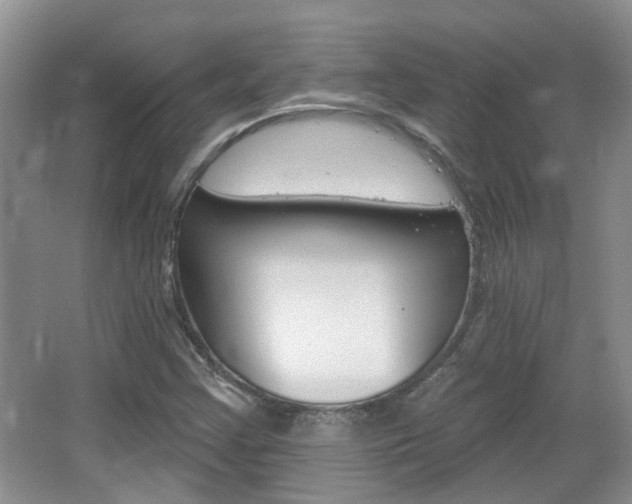 X0000067371355200603310944