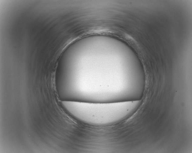 X0000067371361200603310943