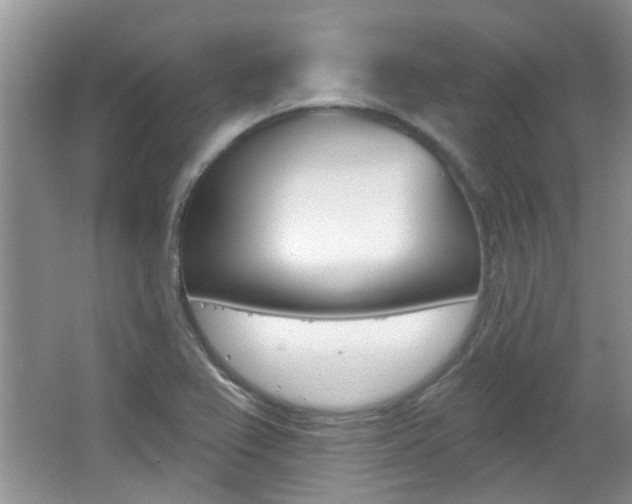 X0000067371367200603310943
