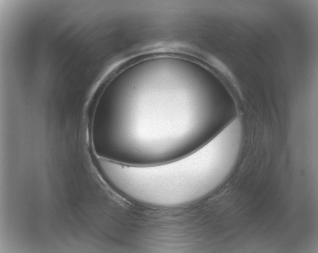 X0000067371368200603310943