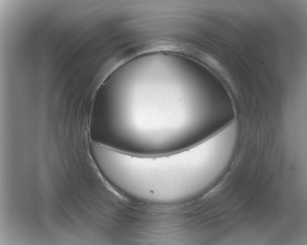 X0000067371377200603310943