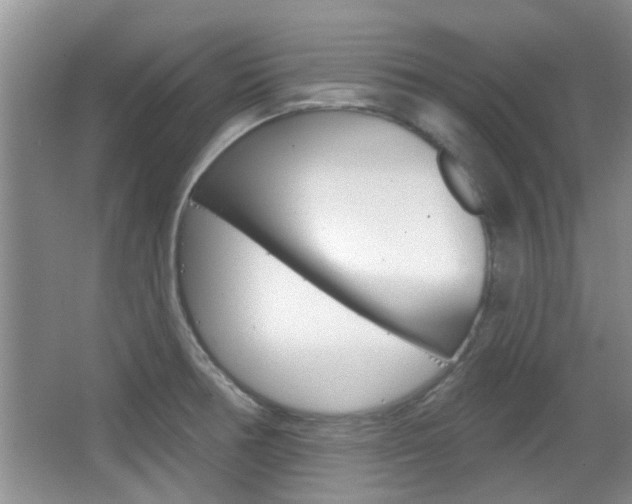 X0000067371378200603310943