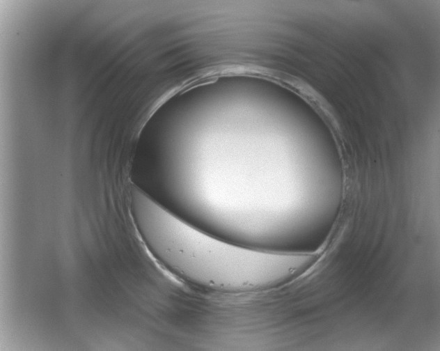 X0000067371385200603310943