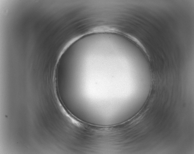 X0000067371387200603310943
