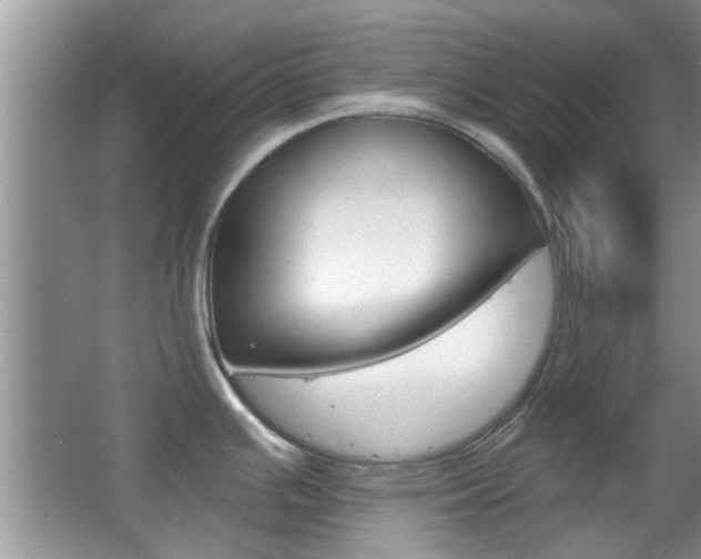 X0000067371391200603310943