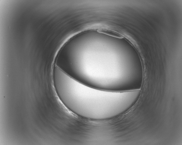 X0000067371392200603310943