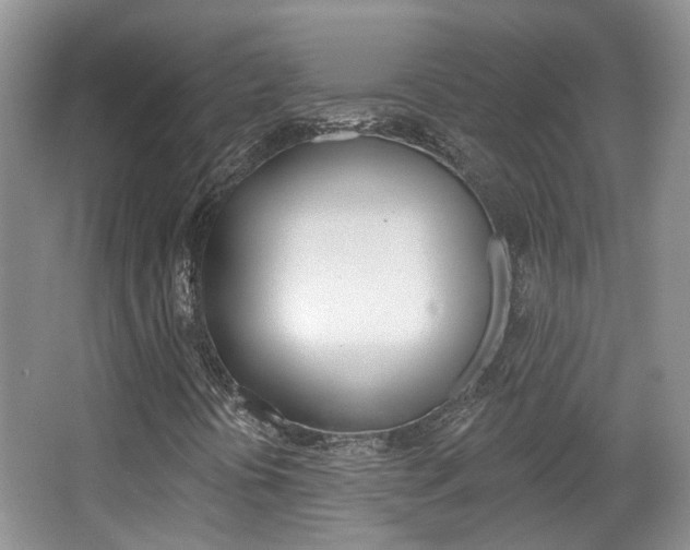 X0000067371394200603310942