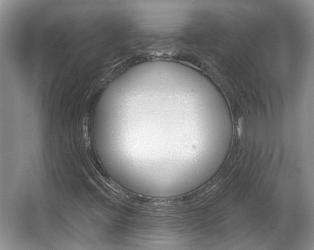 X0000067371396200603310942
