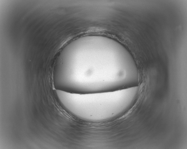 X0000067371401200603310942