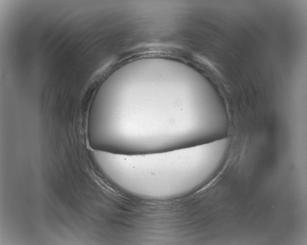 X0000067371403200603310942