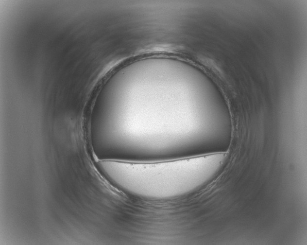 X0000067371404200603310942