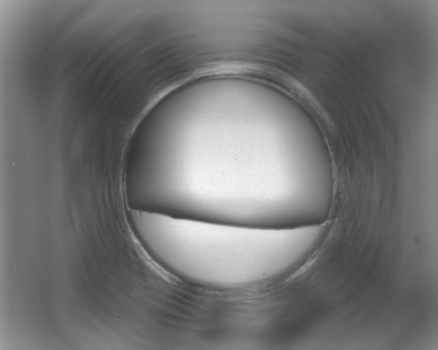 X0000067371417200603310943