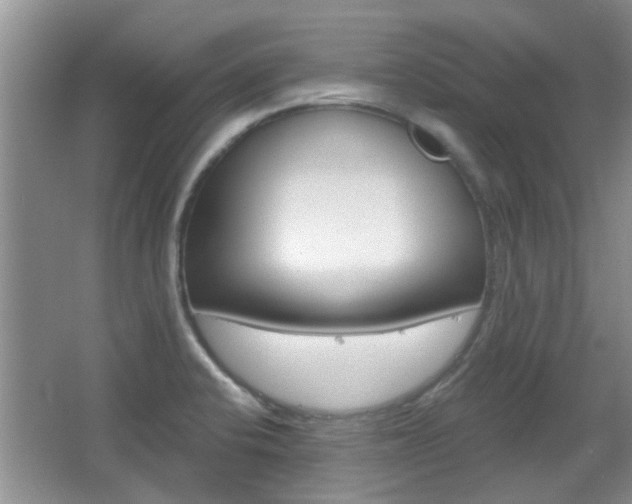 X0000067371424200603310943