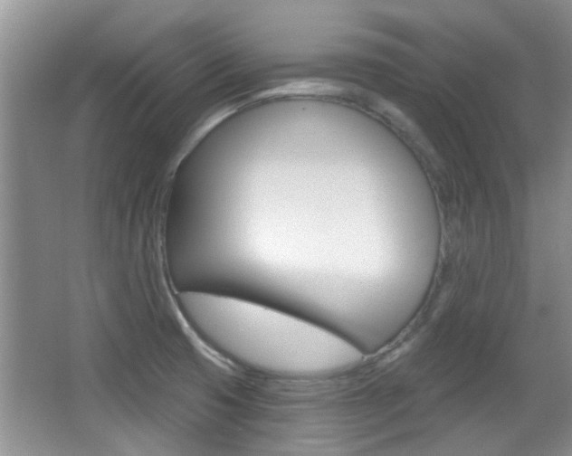 X0000067371425200603310943