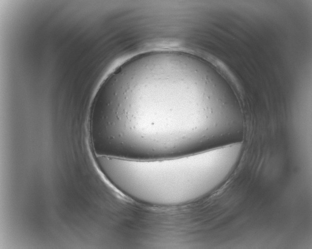X0000067371432200603310943