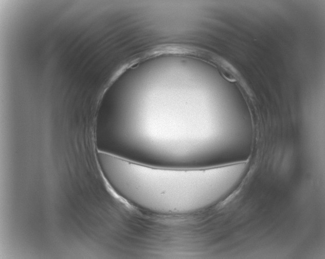 X0000067371433200603310943