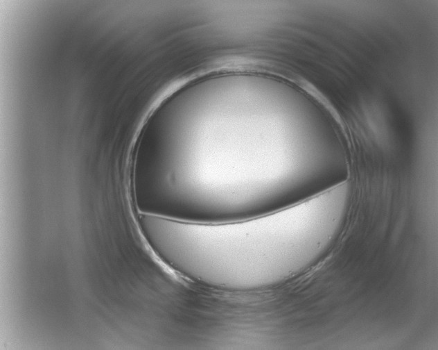 X0000067371437200603310943