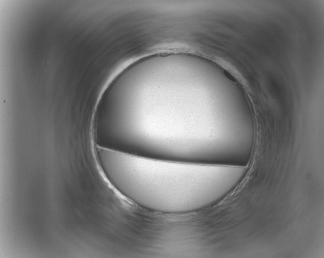 X0000067371440200603310943