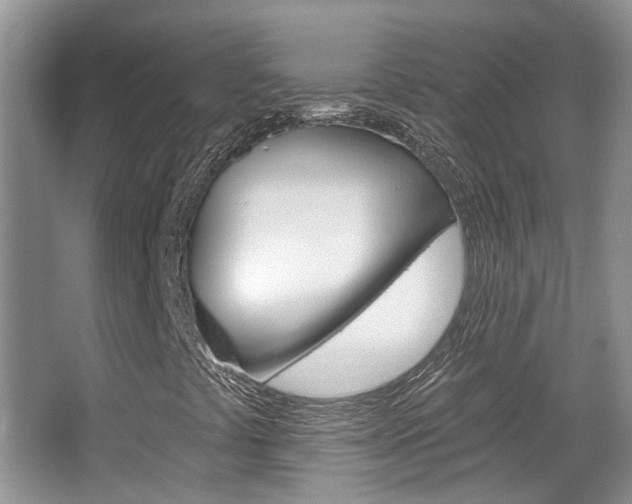 X0000067371441200603310942