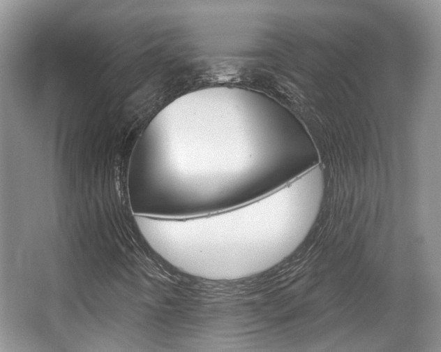 X0000067371442200603310942