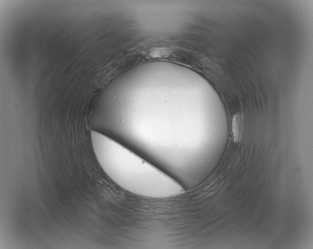 X0000067371443200603310942