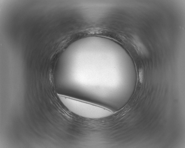 X0000067371444200603310942