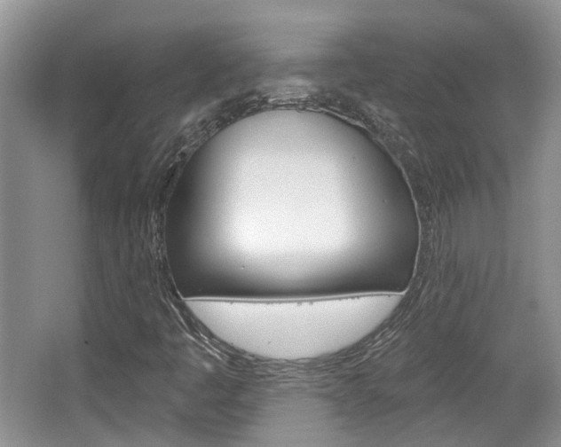 X0000067371445200603310942