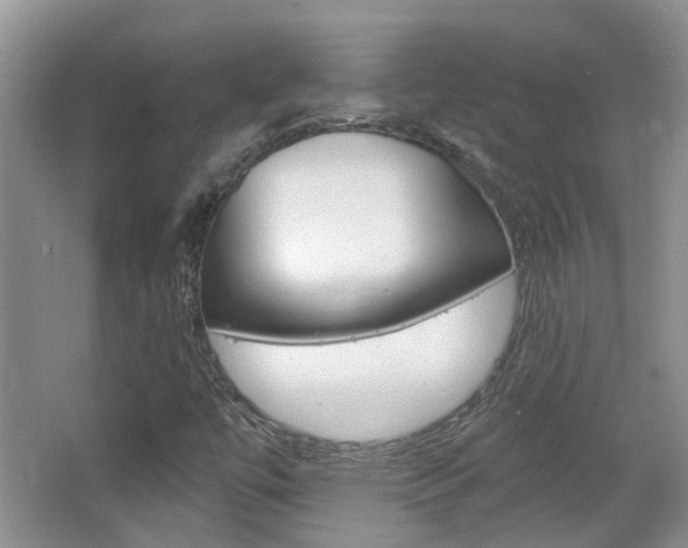 X0000067371447200603310942