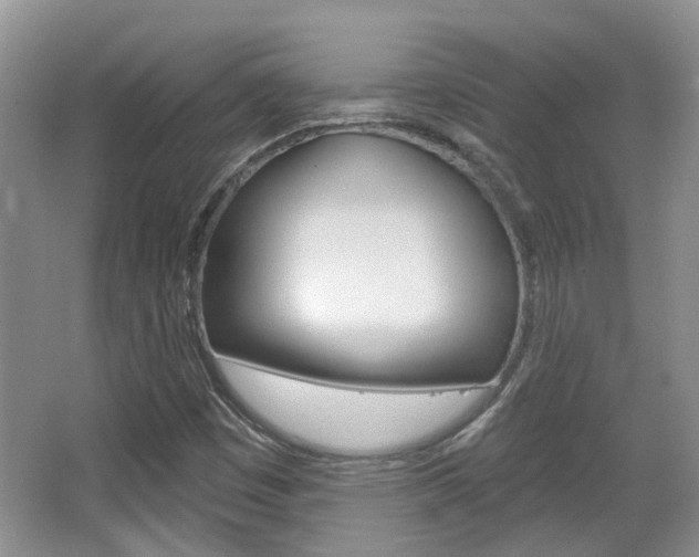 X0000067371449200603310942