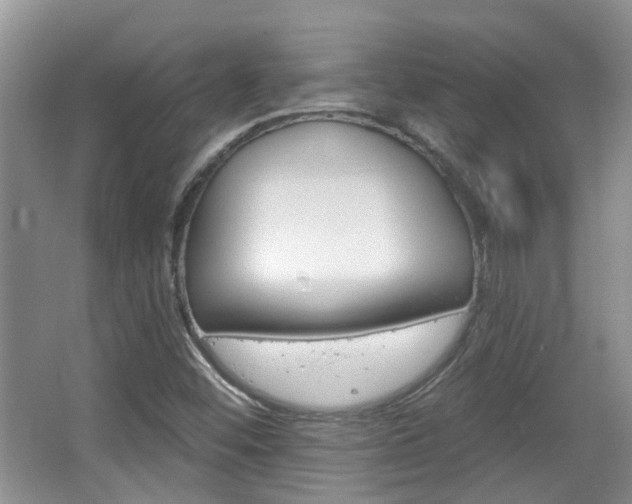 X0000067371452200603310942