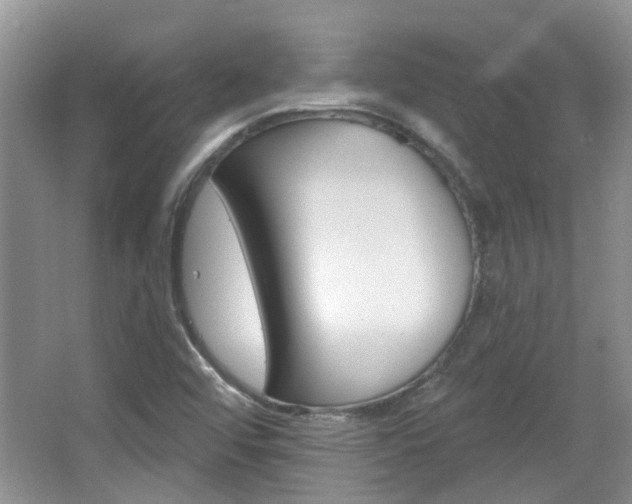 X0000067371456200603310942