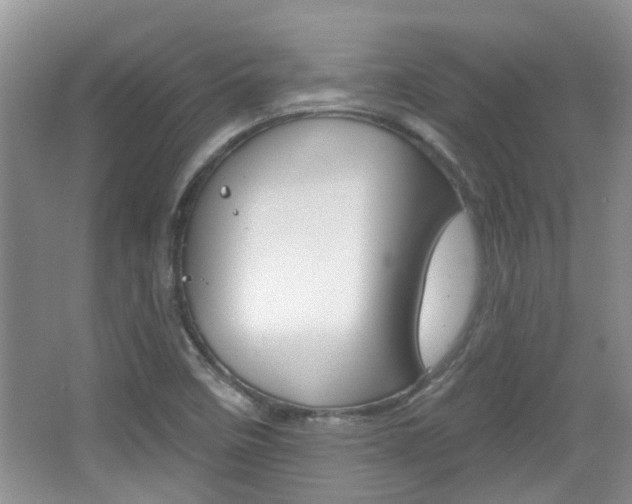 X0000067371458200603310942