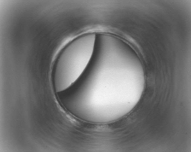 X0000067371464200603310942