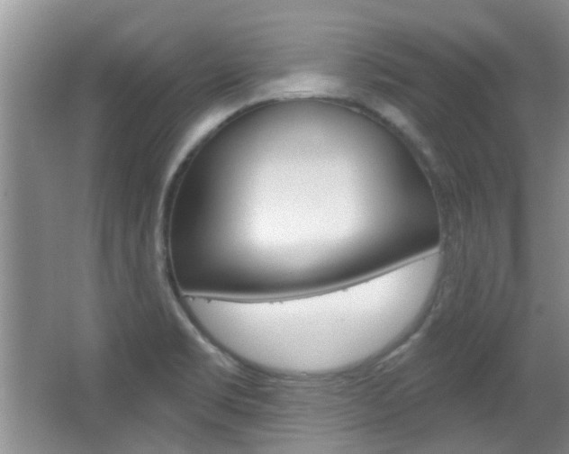 X0000067371469200603310942