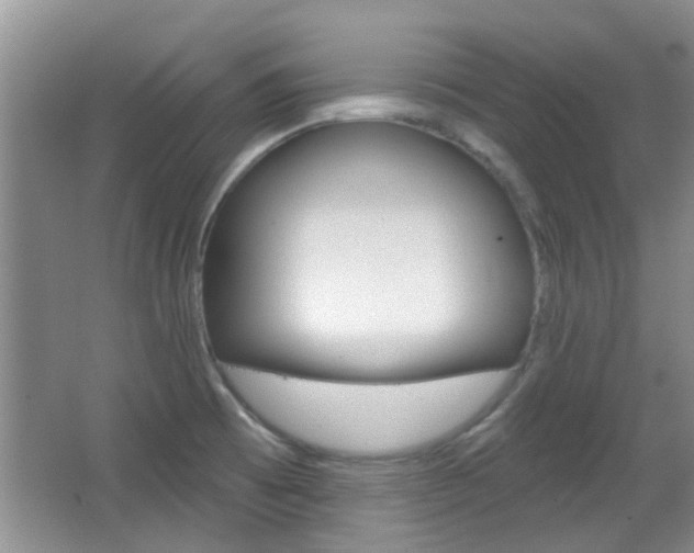 X0000067371473200603310942
