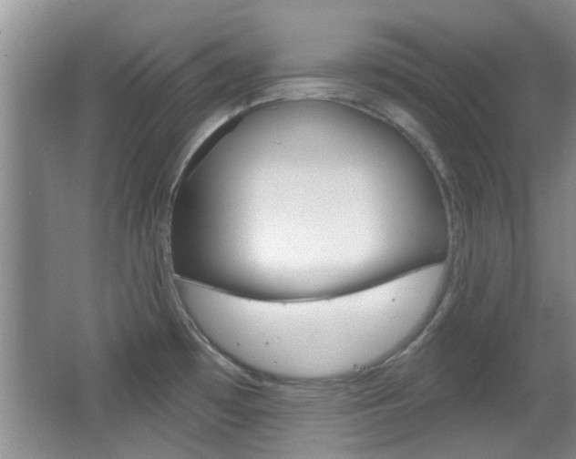 X0000067371481200603310941
