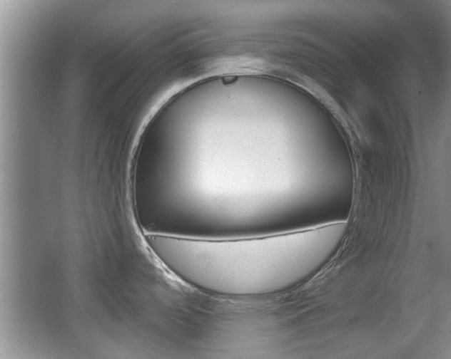 X0000067371488200603310941