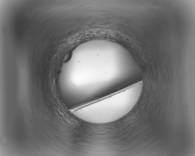 X0000067371489200603310940
