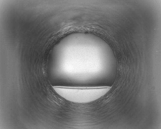 X0000067371490200603310941