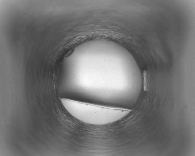X0000067371491200603310941