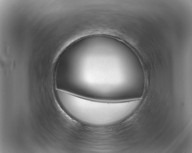 X0000067371500200603310941